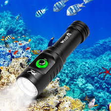 Linterna de Buceo Profesional WINDFIRE IPX8