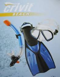Set Profesional de Buceo y Esnórquel 38-41 (Azul/Negro)