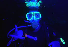 Buceo Nocturno: Exploración Submarina
