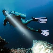 Linterna Frontal LED para Buceo y Natación