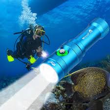 Linterna de Buceo Profesional WINDFIRE IPX8