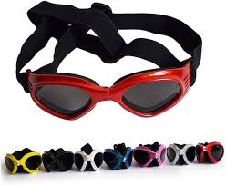 Túneles y Tubos de Hámster con Gafas de Protección Espejo