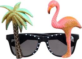 Gafas de Fiesta Hawái: Lentes de Sol para Playa