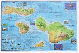 Mapa de Buceo Franko Maui: Guía Esencial para Buzos y Snorkelers