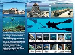 Guía de Buceo en Ibiza