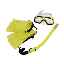 Kit de Snorkel Perfeclan: Gafas