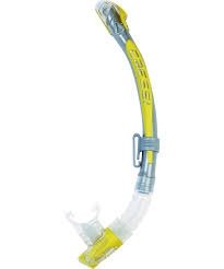 Tubo SIGMA: Buceo y Snorkeling