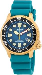 Citizen Eco-Drive Promaster: Reloj de Buceo para Hombre